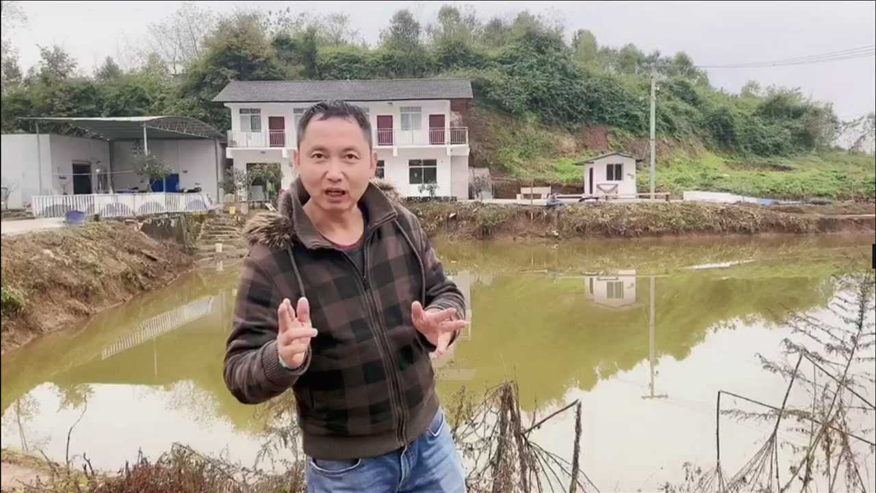 刘苹果喊你一起吃刨猪汤了