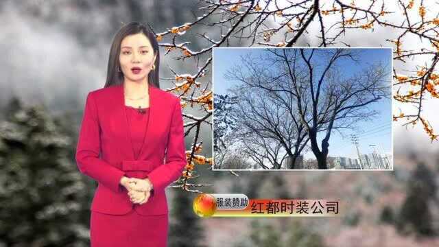 张家口天气预报2020年第346期