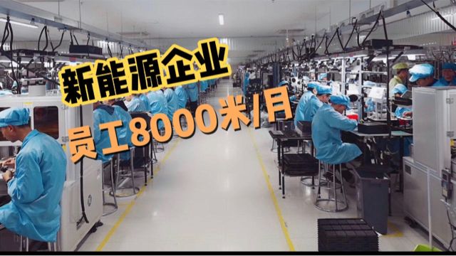 新能源企业员工8000一个月,年底为何还要大量招人,这样的工作你怎么看