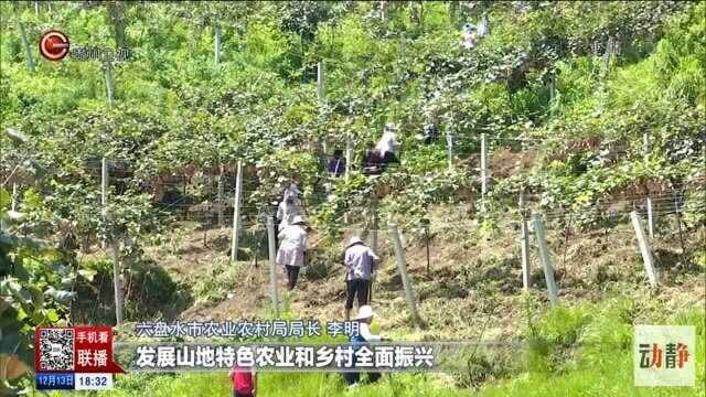 贵州:农业现代化促乡村振兴,旅游产业化建旅游强省