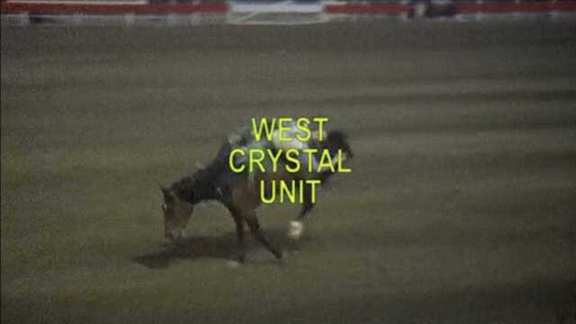 WEST CRYSTAL UNIT