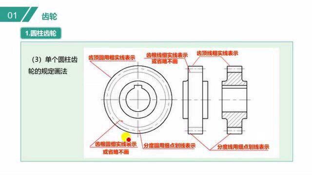 单个圆柱齿轮的规定画法