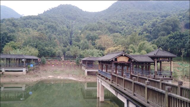 白市驿森林公园登山记,幽静的登山步道,游客极少