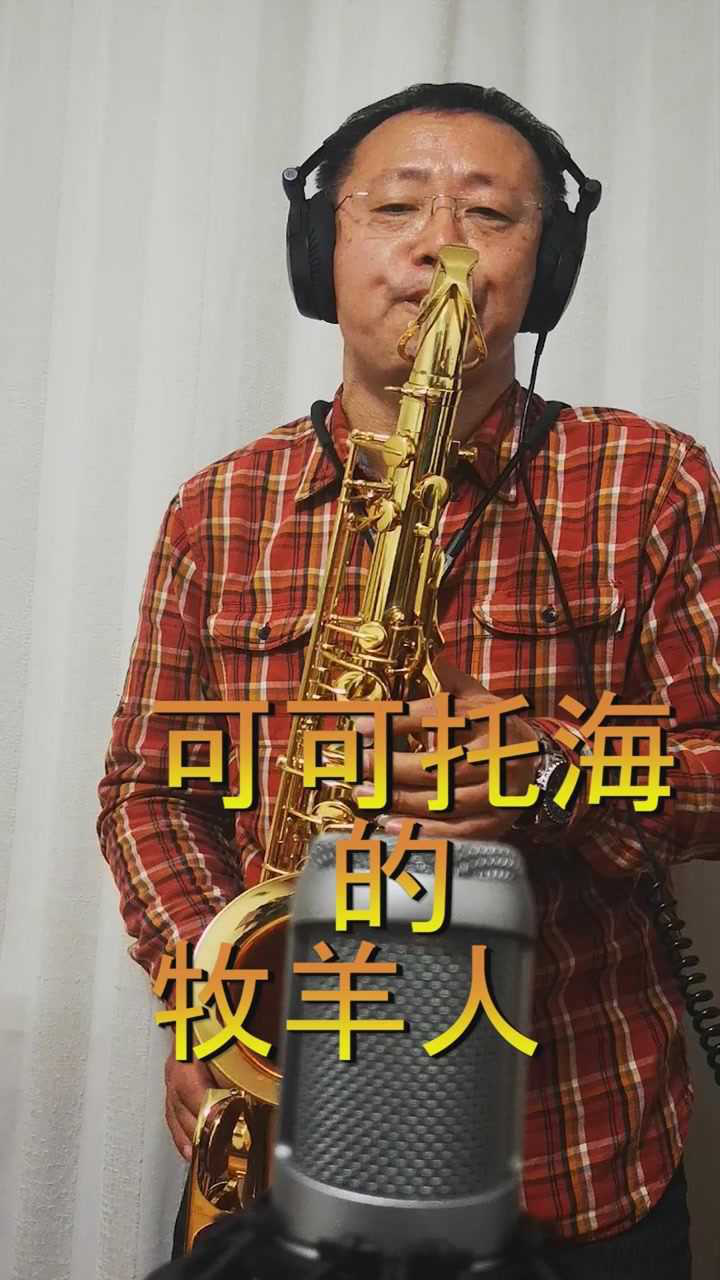 次中音萨克斯独奏可可托海的牧羊人