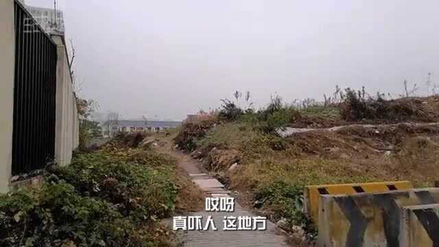 实拍上海嘉定“超强”违章搭盖,屋顶上建“空中别墅”,建了足足有三层楼