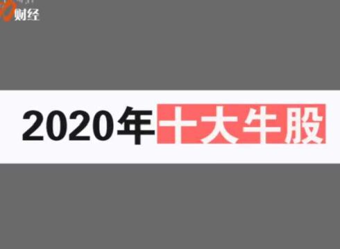 2020年十大牛股