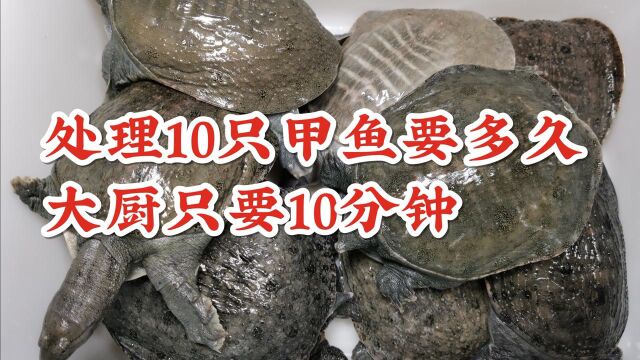 20年大厨用10只甲鱼为大家分享,甲鱼只要去除这3个部位,从此无腥臭味