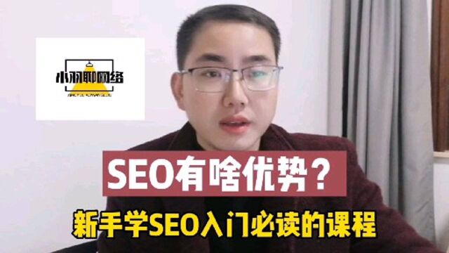 SEO有啥优势?新手学SEO入门必读的课程!