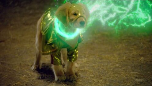 狗狗意外找到外星圣环，戴上后获得不同超能力，变身超级英雄狗