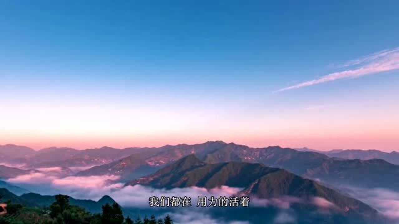 新的一年用力活着听完心里好难受唱出了生活的无奈