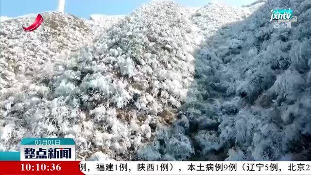 吉安:遂川县筑峰顶迎来雾凇冰凌景观