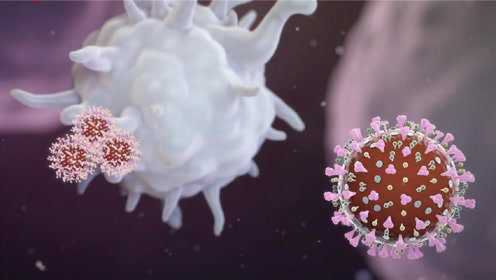 病毒入侵人体时，免疫系统是如何反击的？