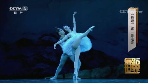 《舞姬》第二幕选段，带你感受芭蕾舞的艺术魅力！好看