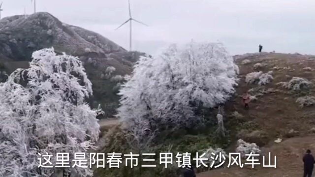 持续的寒冷,令阳春这座风车山成了打卡圣地,大美了