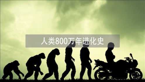人类800万年的进化史，原来地球上的我们都是一家人？