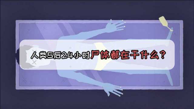 死后的24小时,人类的尸体都在干嘛?过程让人细思极恐