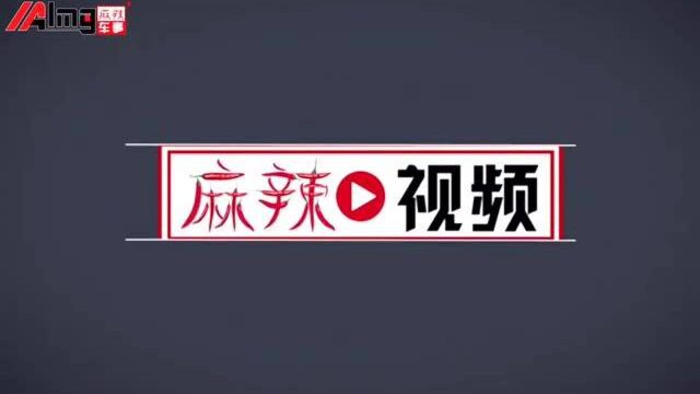 上汽大通EV90纯电轻客再推5款新车