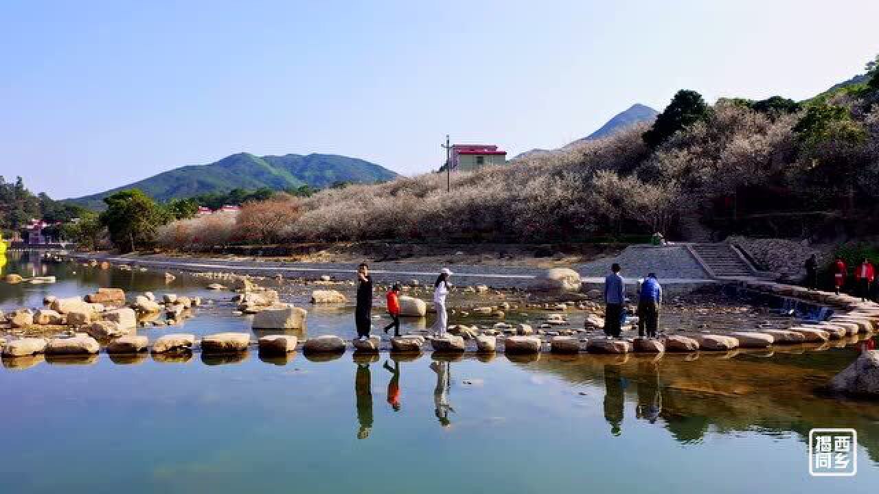 揭西石内河图片