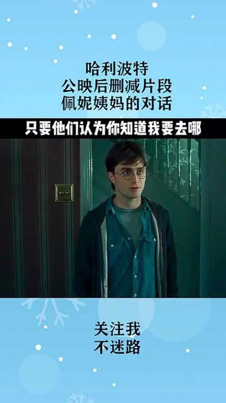 哈利波特中哈利和佩妮姨妈的对话,你一定没有见过_高清1080P在线观看平台_腾讯视频