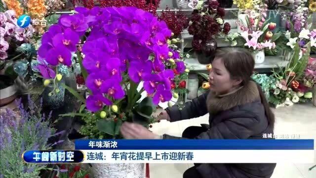 记者走进花卉市场采访,年宵花受市民追捧销量猛增!