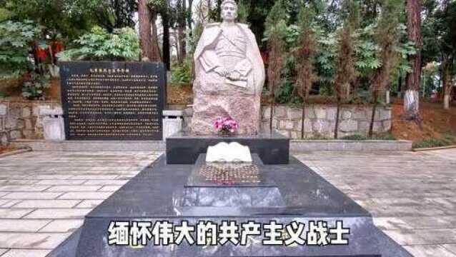 拜谒杨开慧烈士陵园,岸英岸青左右陪伴着伟大的母亲,感恩先烈!