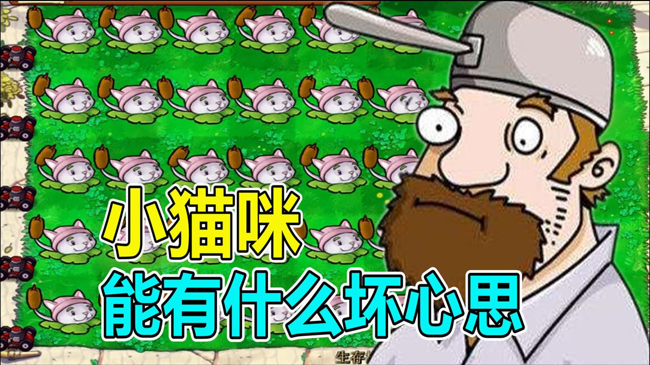 植物大战僵尸:僵尸们别害怕,小猫咪能有什么坏心思?