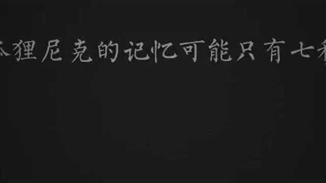 动漫尼克这波操作还有点萌哦!疯狂动物城