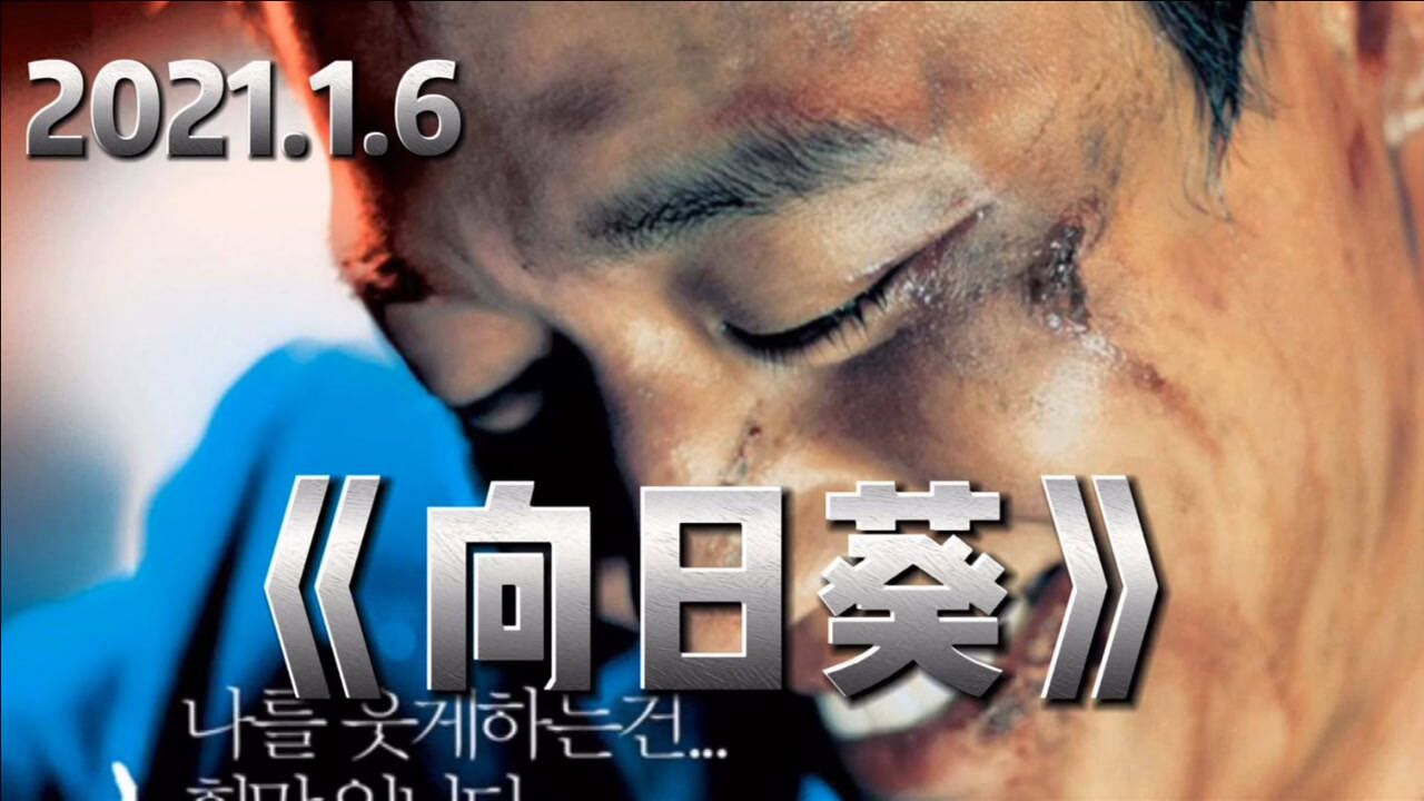 1796视频污污在线播放_向日葵视频app下载污_比较污陌生人聊天app