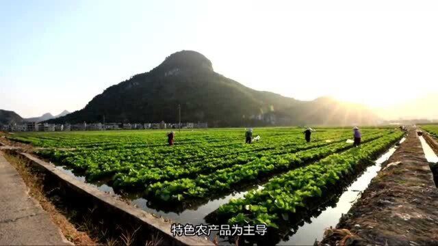 连州市农村农业局专题访谈