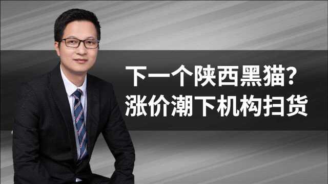 陕西黑猫7个涨停!焦炭再次掀起涨价潮,背后隐含什么逻辑?