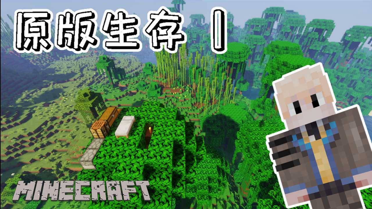 【原版生存】第1集！新出生的一天！【我的世界】【原味生存】_高清