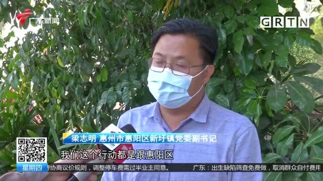 惠州惠阳 三鸟市场断水断电 大量禽类死亡