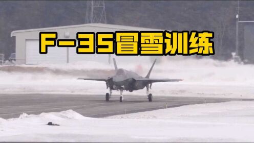 2021年2月2日，日本三泽基地八架F-35冒雪训练