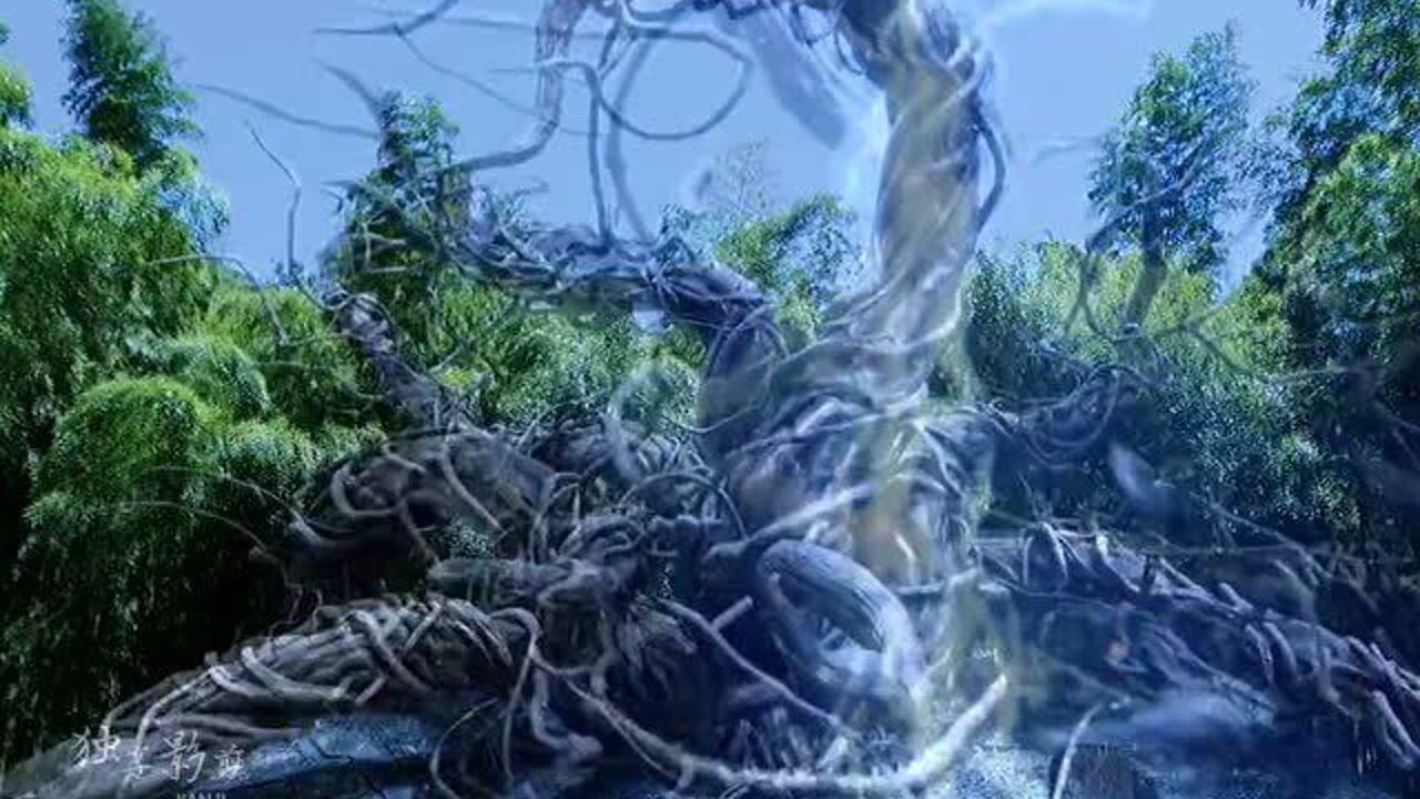 唐三正面硬刚魂尊,获得六百年魂环鬼藤