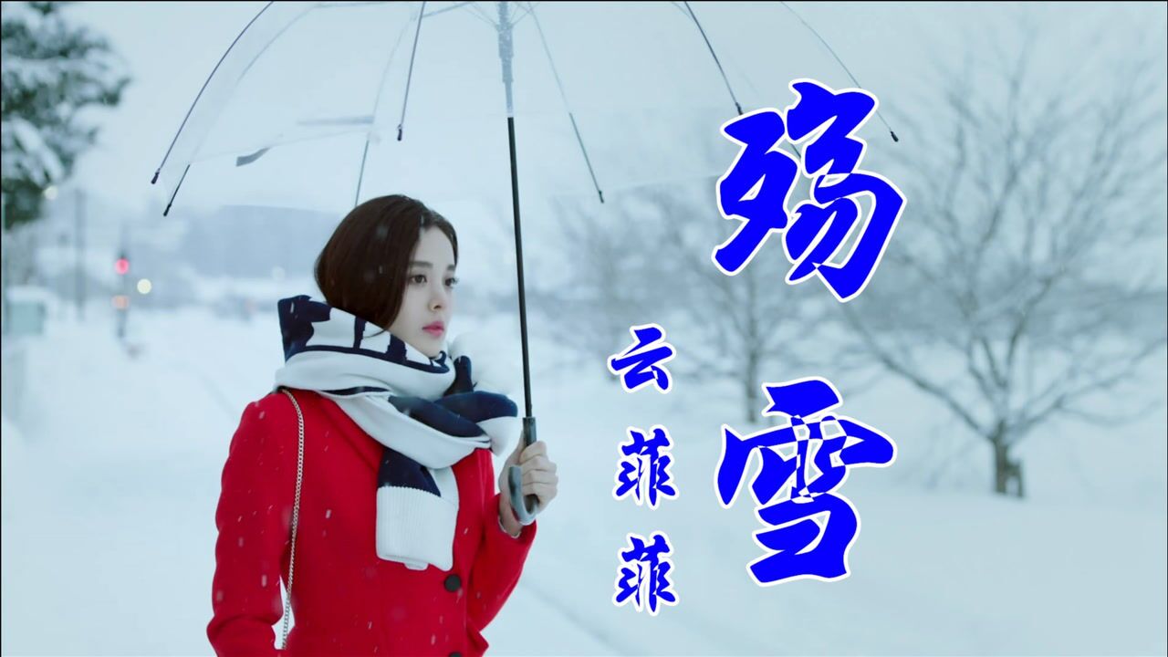 云菲菲好听歌曲殇雪伤感的歌词感动无数有故事的人儿