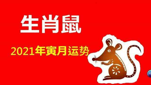 生肖鼠,在2021年寅月运势解析