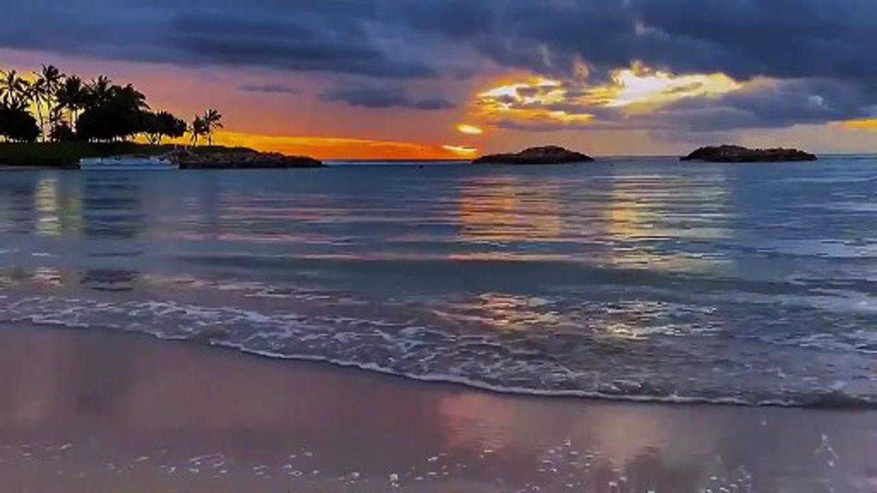 微信8.0背景视频