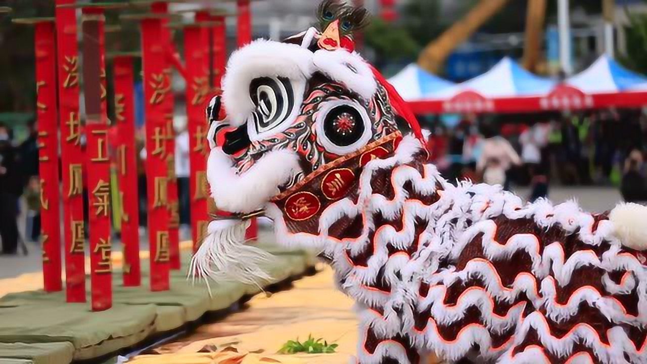 白石厦社区醒狮队:高桩《雄狮勇闯高峰》