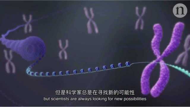 66.CRISPR基因编辑及应用