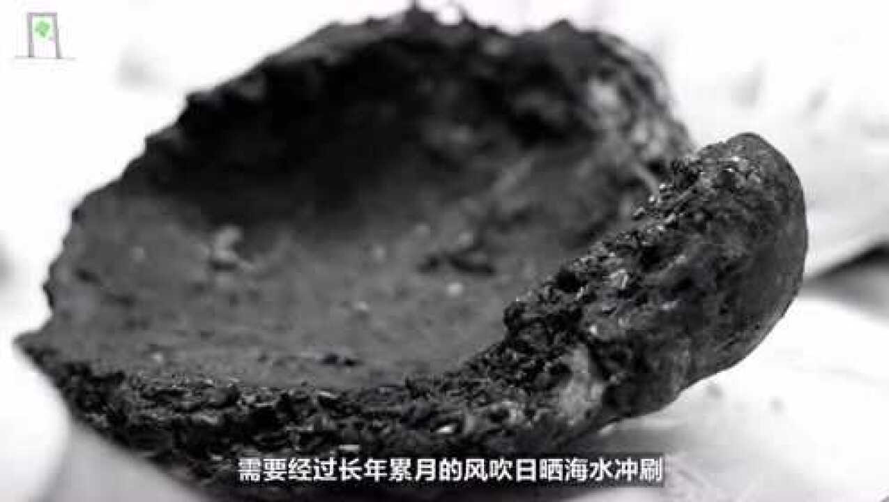 一直不明白,抹香鲸的"粪便"为什么如此昂贵?