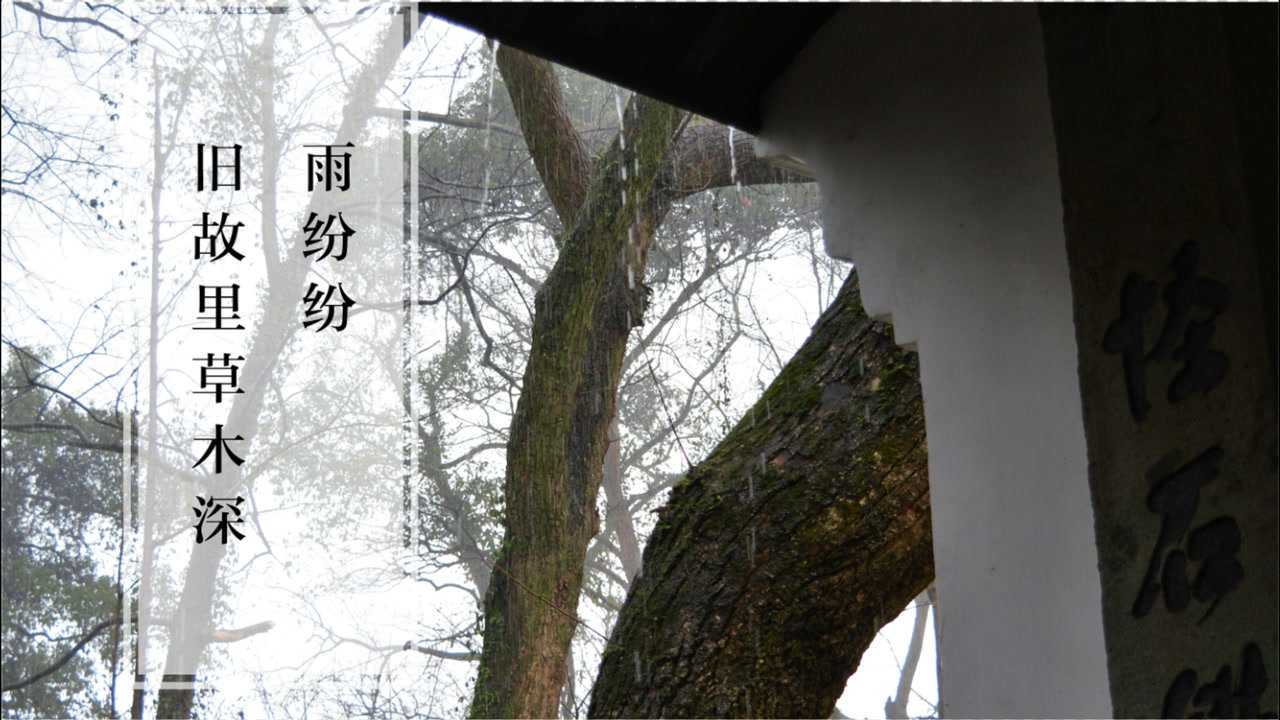 杭州小众赏雨地