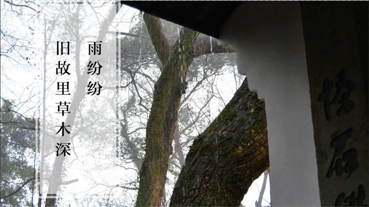 杭州小众赏雨地|隐秘的角落|雨纷纷,旧故里草木深