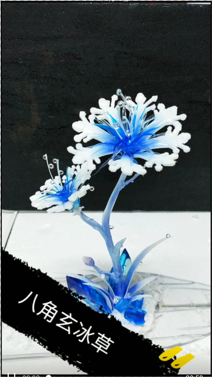 自制八角玄冰草!