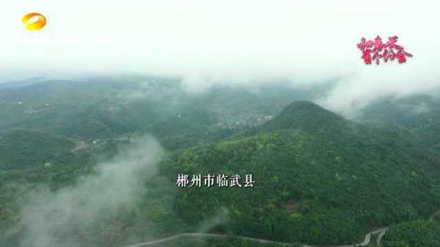 (脱贫攻坚群英谱)扎根山区39年 甘做崖上一棵柏