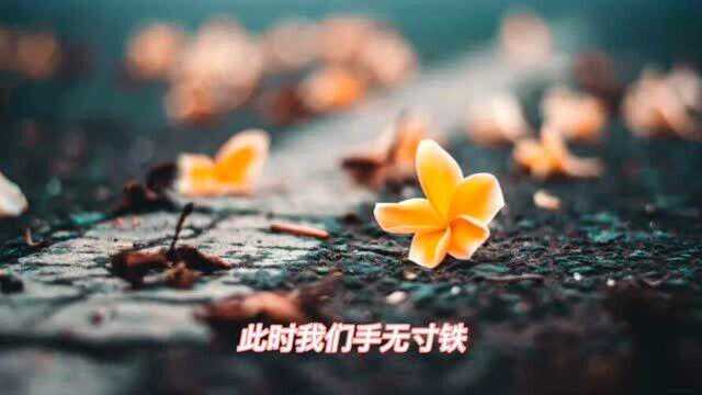 木森夜语第13期——阿梅的成长故事(三)