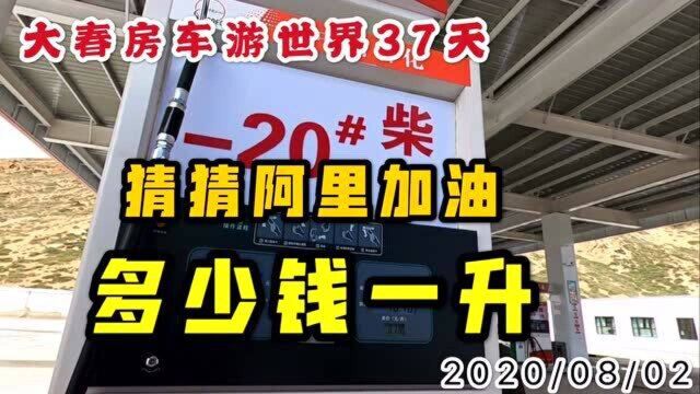 大春游世界37天,猜猜阿里加油多少钱,你加过最贵的油是多少钱