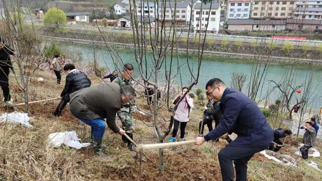 郧西关防机关干部“重温党史 绿满沙沟”义务植树活动