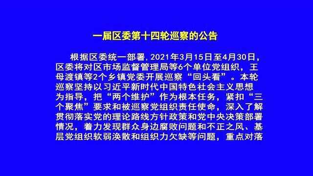 3.196.一届区委第十四轮巡察的公告