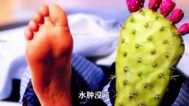 玉米须是个宝,玉米须泡水喝,降三高护心脏,营养又健康,千万别扔掉