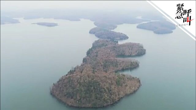 湖北荆门3座岛公开1元起拍 官方:地处生态保护红线 涉嫌炒价将叫停